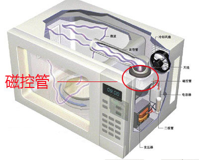 求微波炉内部结构图,磁控管的位置